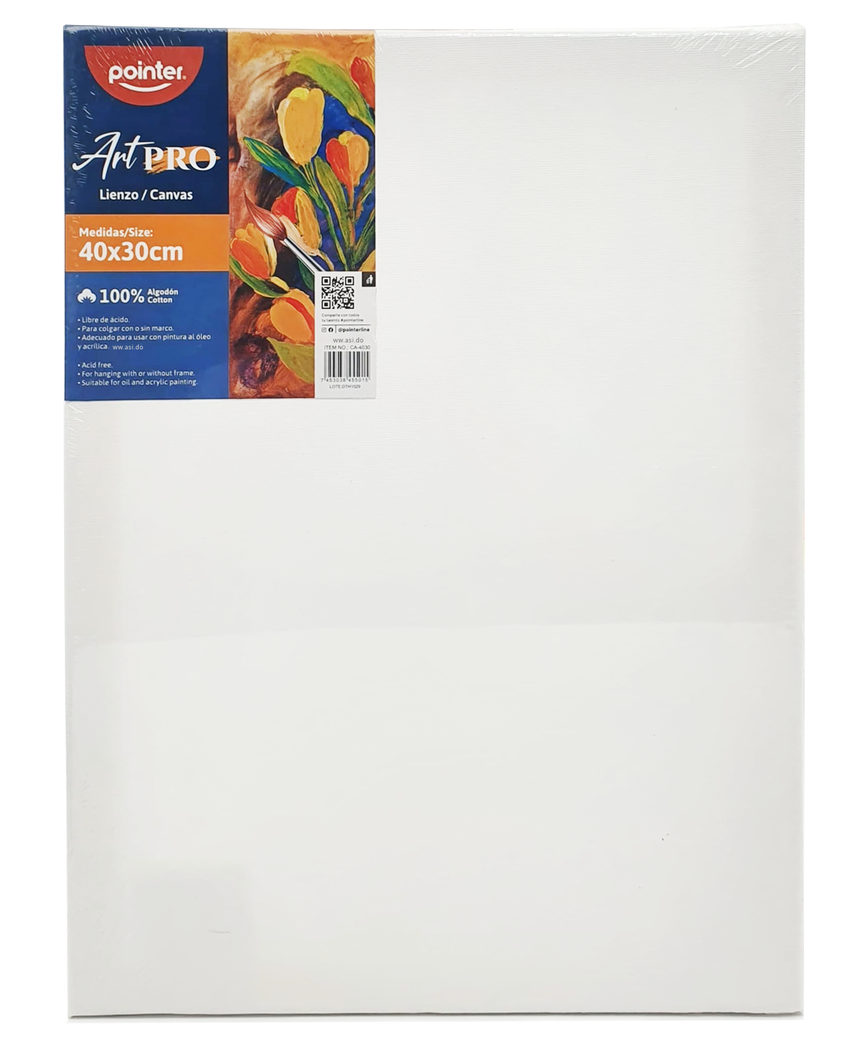  Cuadro de Lienzo Canva para Pintar 12"x 16" - Pointer ArtPro
