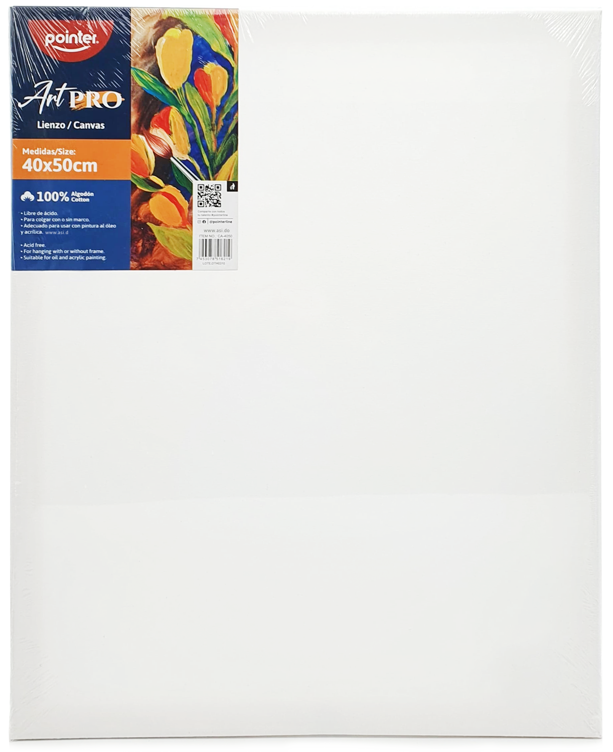  Cuadro de Lienzo Canva para Pintar 16"x 20" - Pointer ArtPro