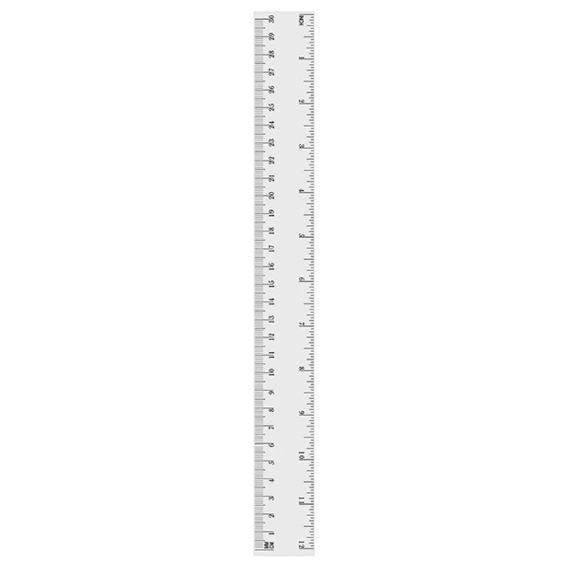 Regla Plástica de 12" Pulgadas/30cm, Transparente - Tody