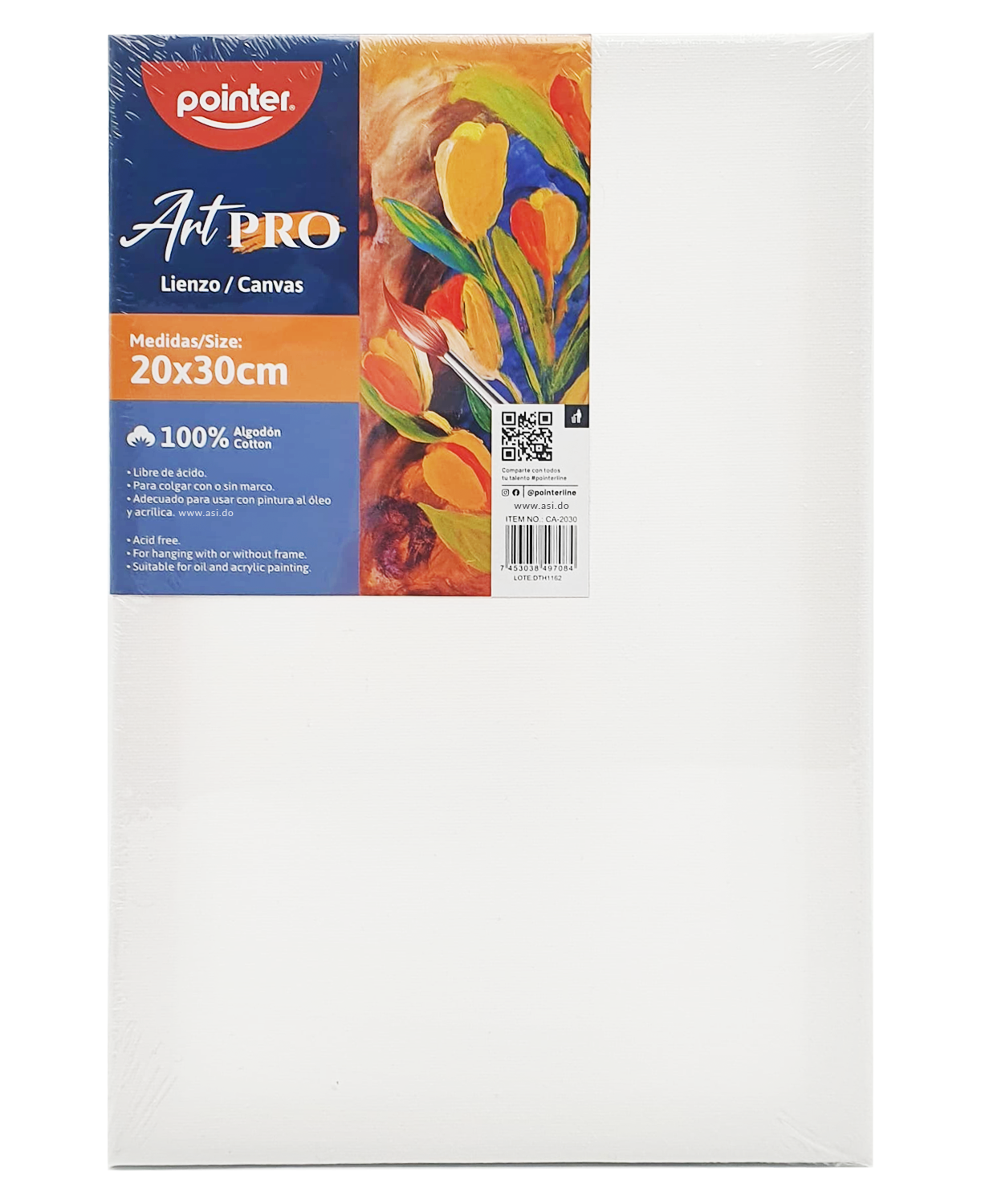  Cuadro de Lienzo Canva para Pintar 8"x 12" - Pointer ArtPro