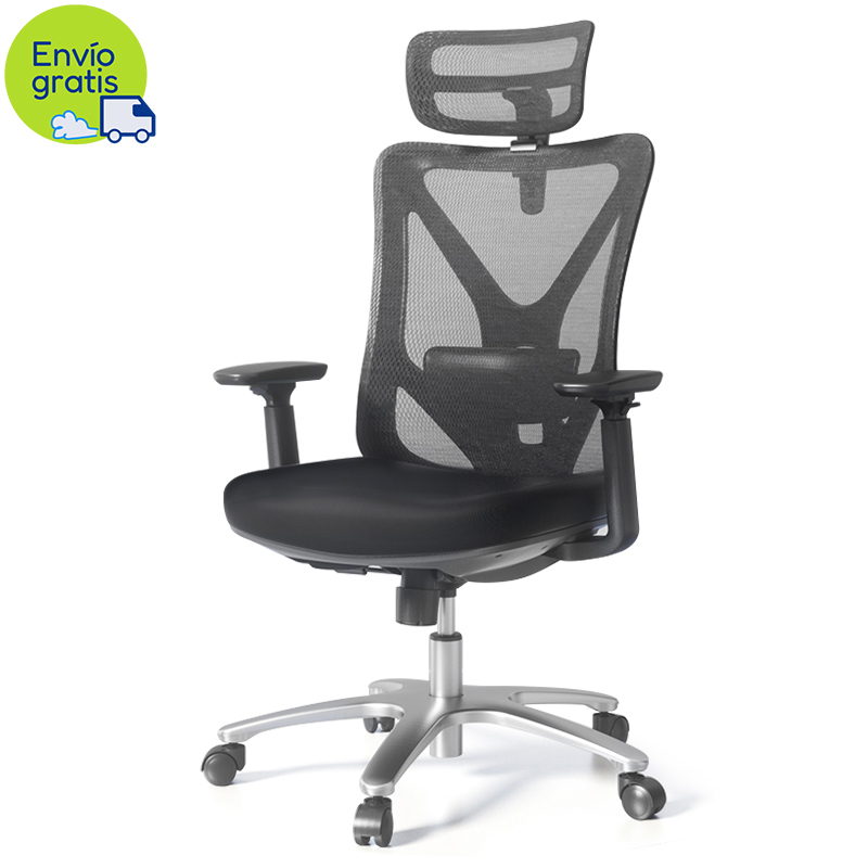 Silla Ejecutiva Ergonómica para Supervisor con Brazos, Negro